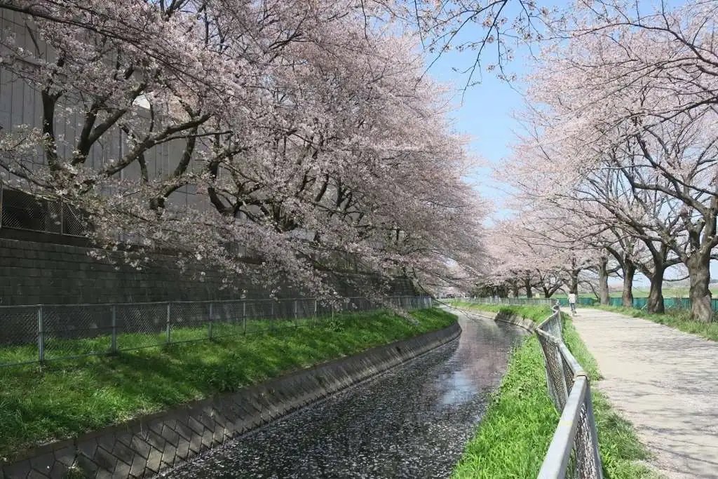 🌳 북우라와 공원(기타우라와 코엔) 이미지 11